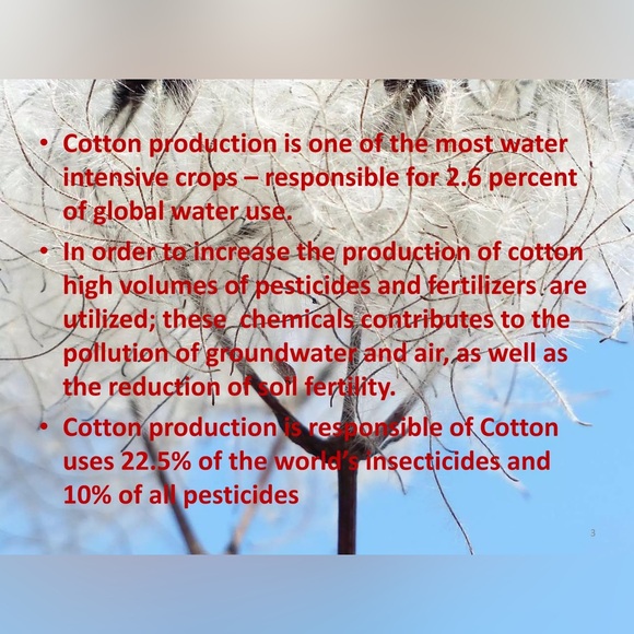 FASHION FACTS! - Picture 2 of 7